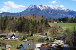 Apartments Helga Bad Goisern Am Hallstättersee